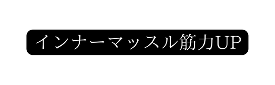 インナーマッスル筋力UP