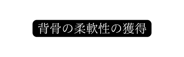 背骨の柔軟性の獲得